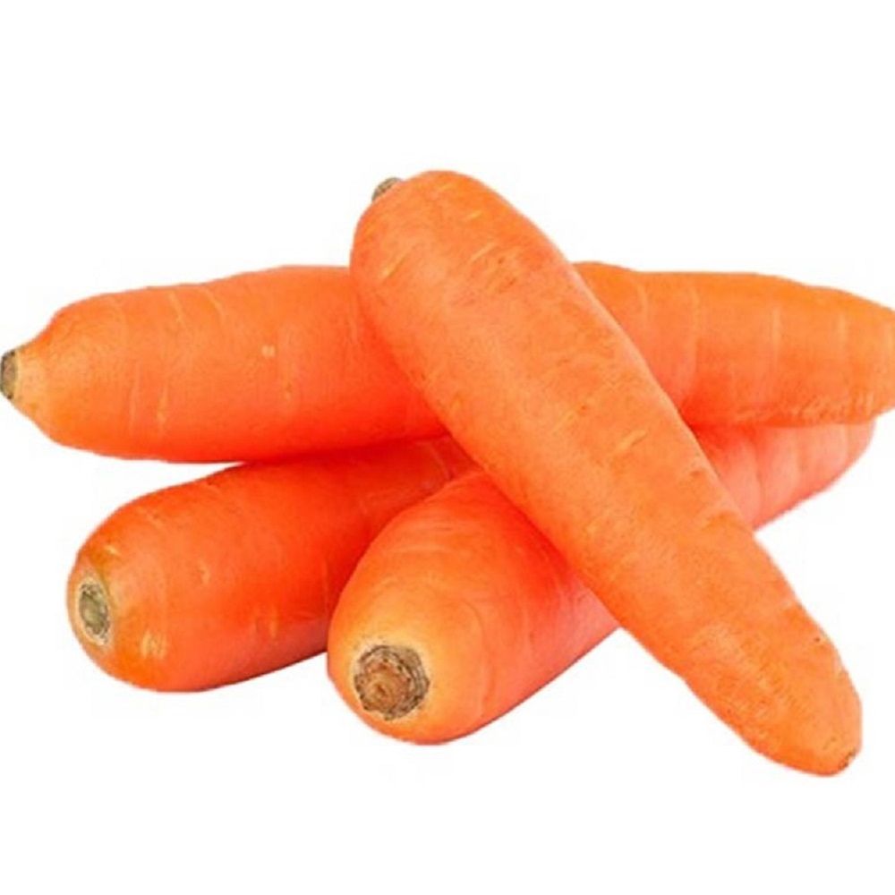 Carrot