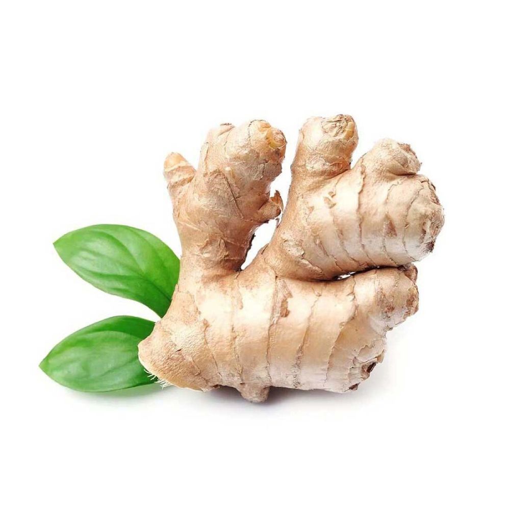 Ginger