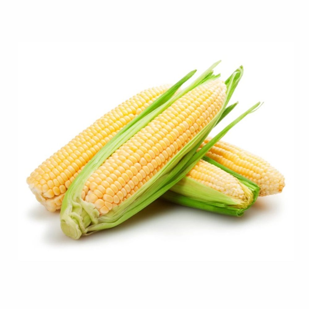 Baby Corn 12345